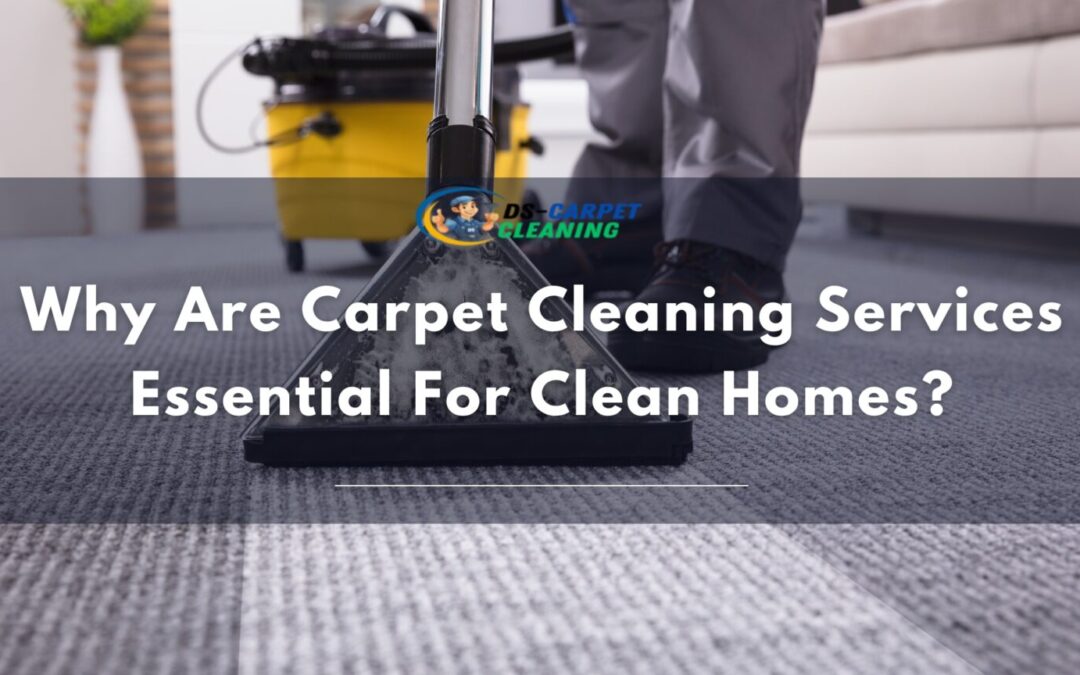 Why are Carpet Cleaning Services Essential for Clean Homes?