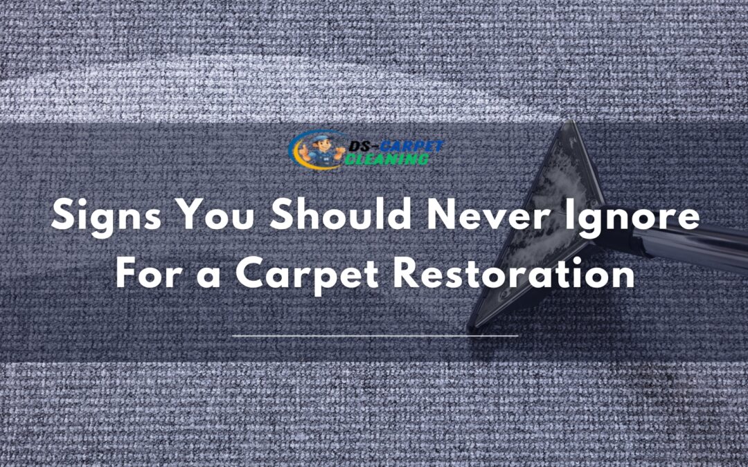 Signs You Should Never Ignore for a Carpet Restoration