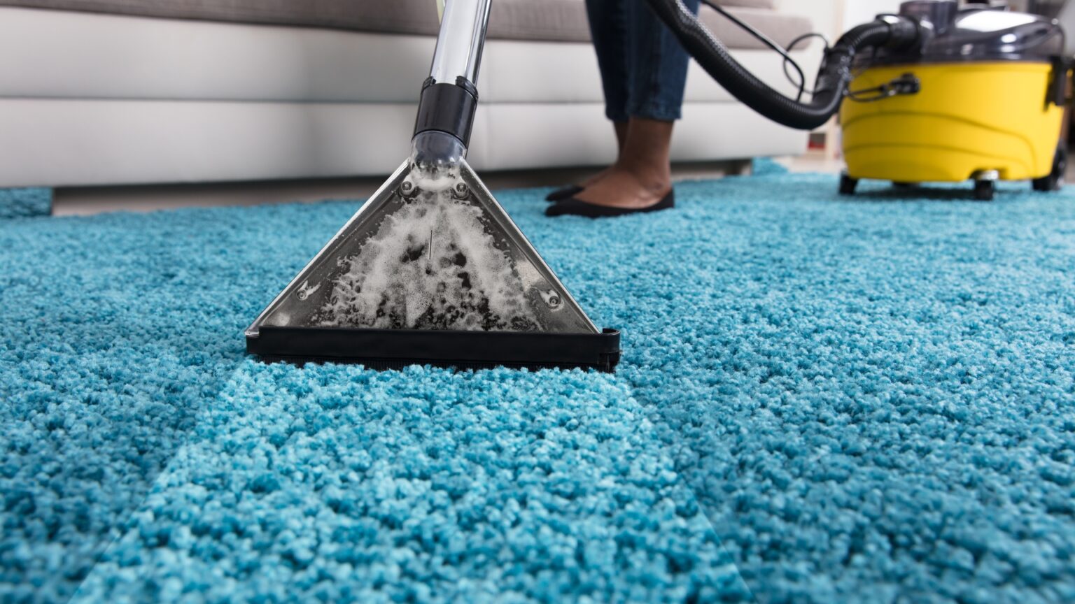 Clean Your Carpets