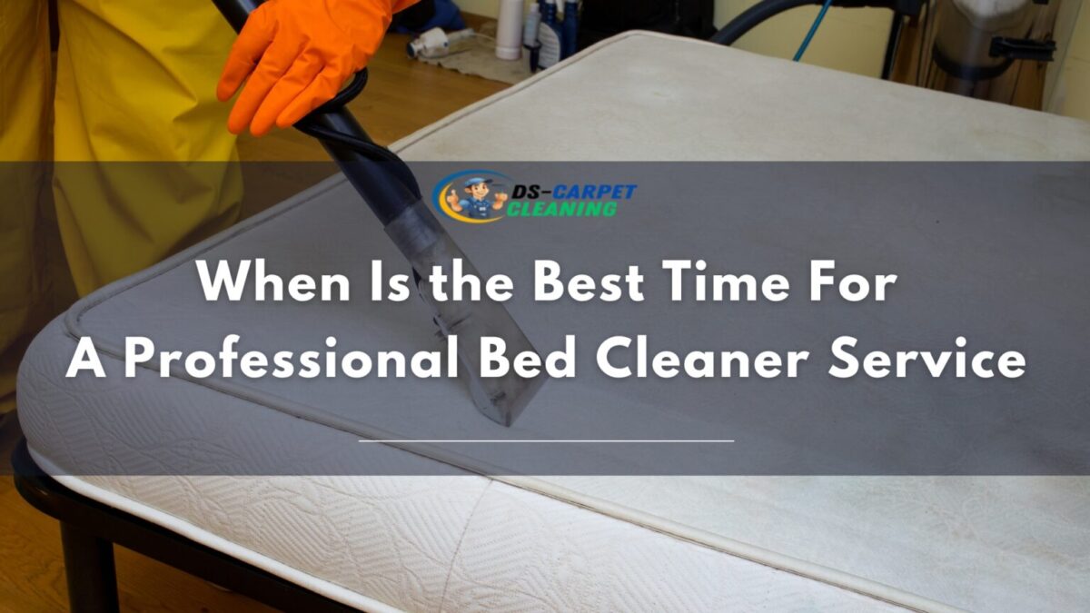 When is the Time for A Professional Bed Cleaner Services