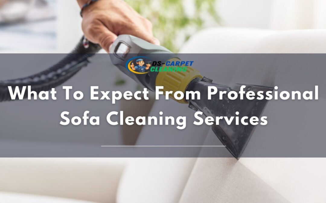 What to Expect from Professional Sofa Cleaning Services