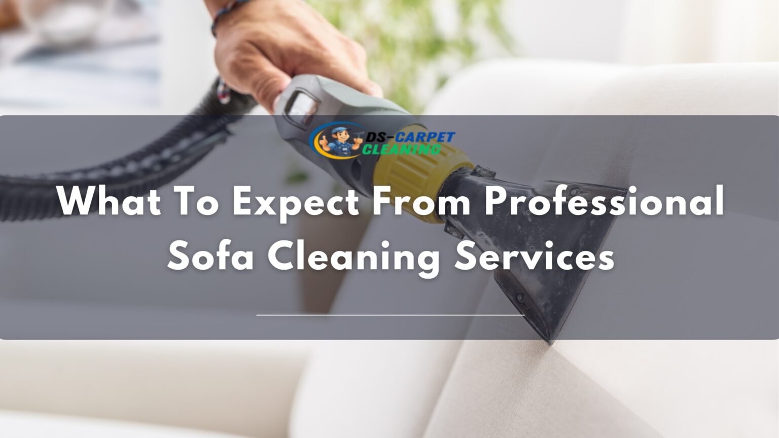 What to Expect from Professional Sofa Cleaning Services