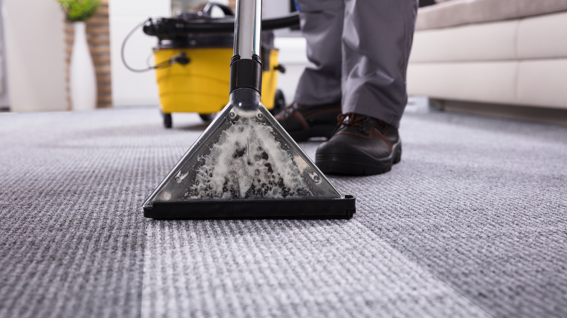 Professional carpet care service extracting dirt and grime from carpet fibers.